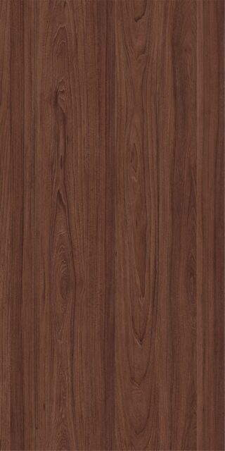 Вяз швейцарский R