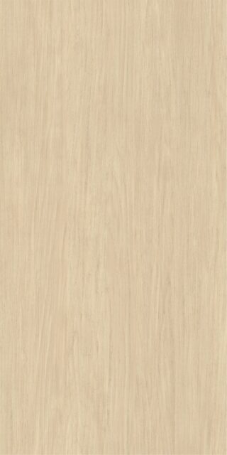 Дуб дымчатый R