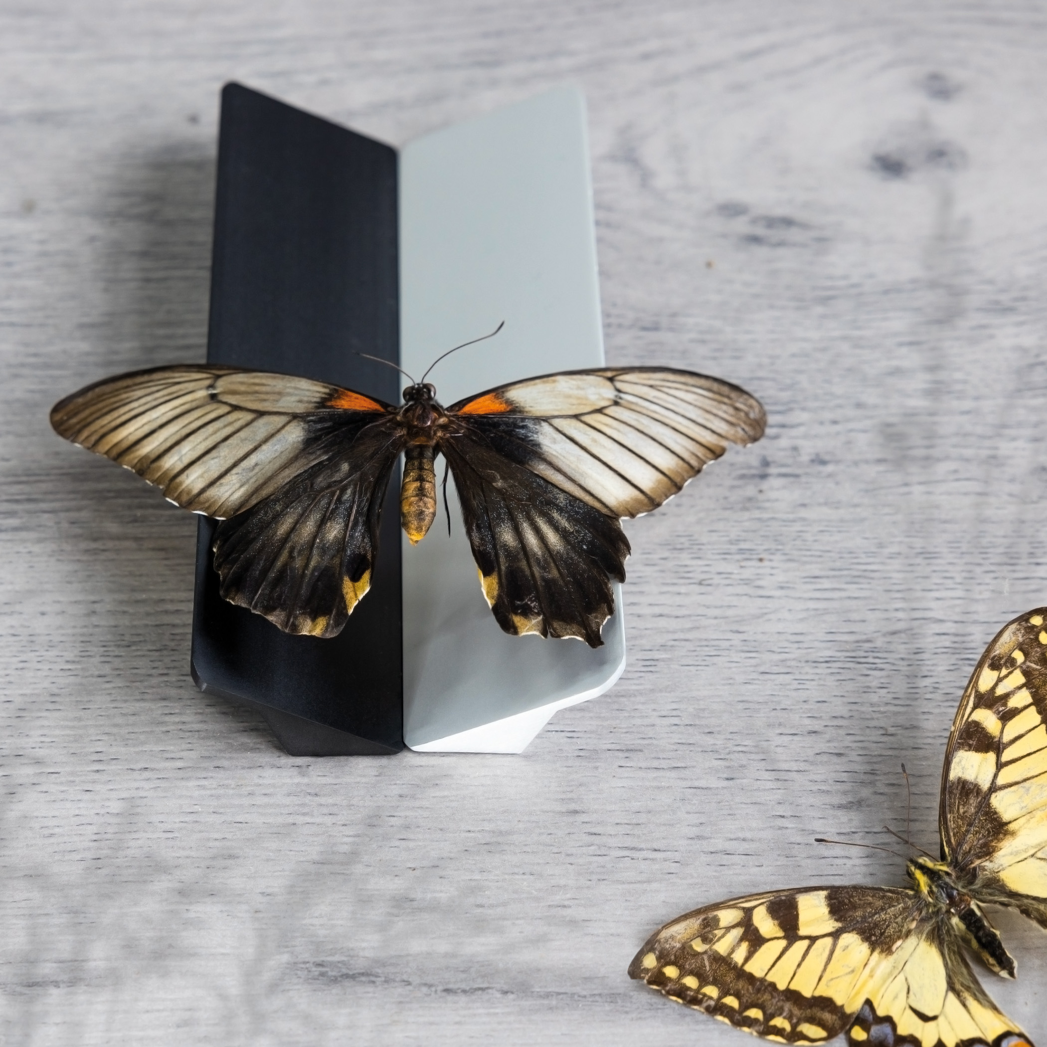 Ручка меб. скоба алюм. ELBRUS 320/330 алюминий, AKS 92247 — изображение 4