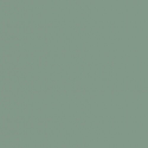 Кромка мат. мята P010/735 22*1 ПВХ Т1 0024929