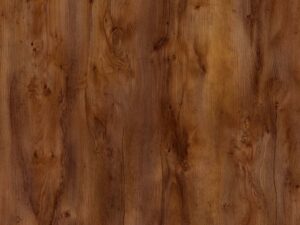 таксония шоколад м 1 мд