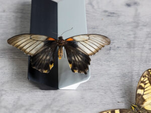 Ручка меб. скоба алюм. ELBRUS 128/138 черный матовый, AKS 92246