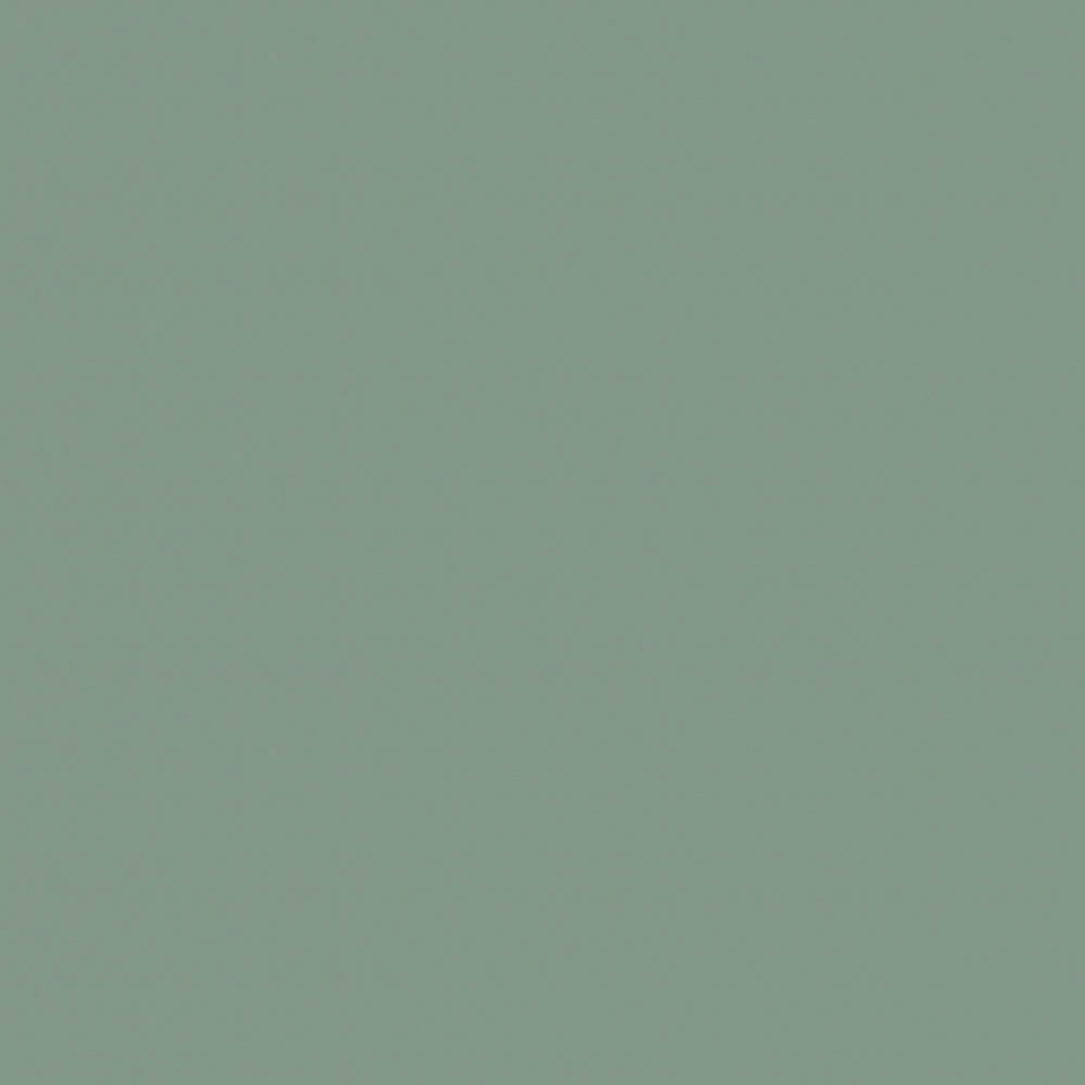 Кромка мат. мята P010/735 22*1 ПВХ Т1 0024929