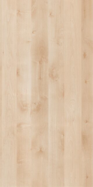 Береза нордик Т